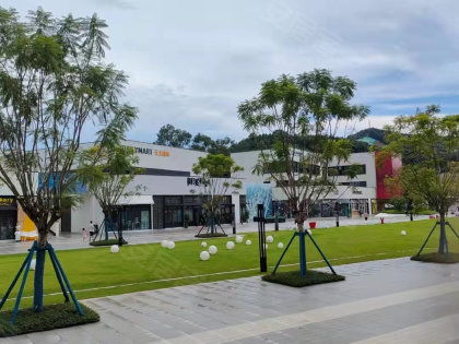 省紡織廠宿舍居住體驗全解析 優(yōu)勢、不足、物管與周邊中介評價