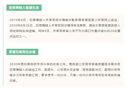 周口城事 酬金制物業管理落地老舊小區，涉惡嫌犯歸案與公交車浪漫婚禮同現